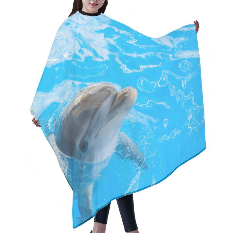 Personality  Happy Smiling Bottlenose Dolphin Playing In Blue Water In Sea. Hair Cutting Cape