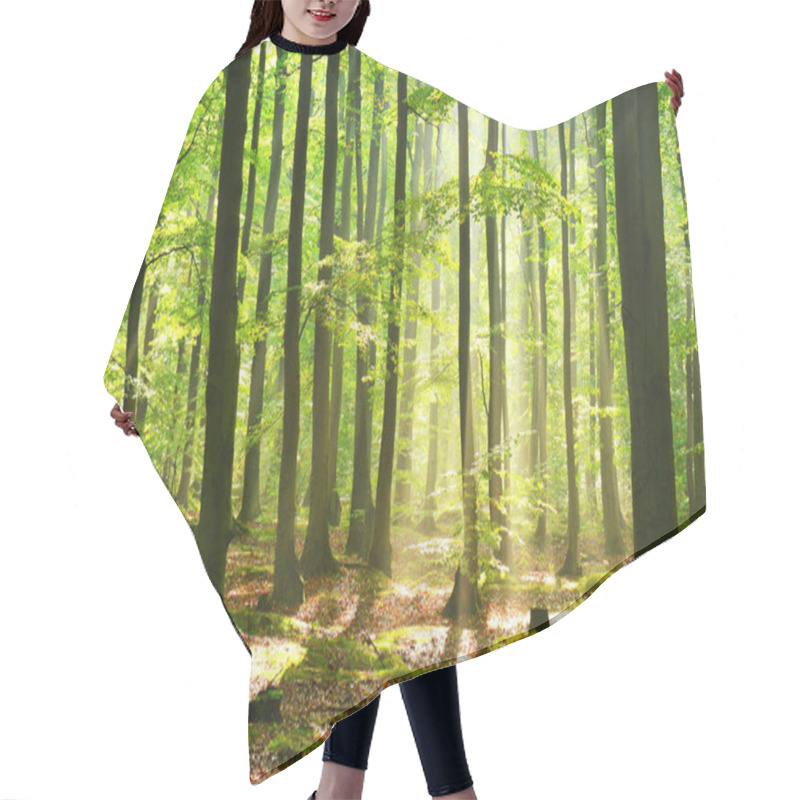 Personality  Beautiful Autumn Dawn In Magic Forest Hair Cutting Cape