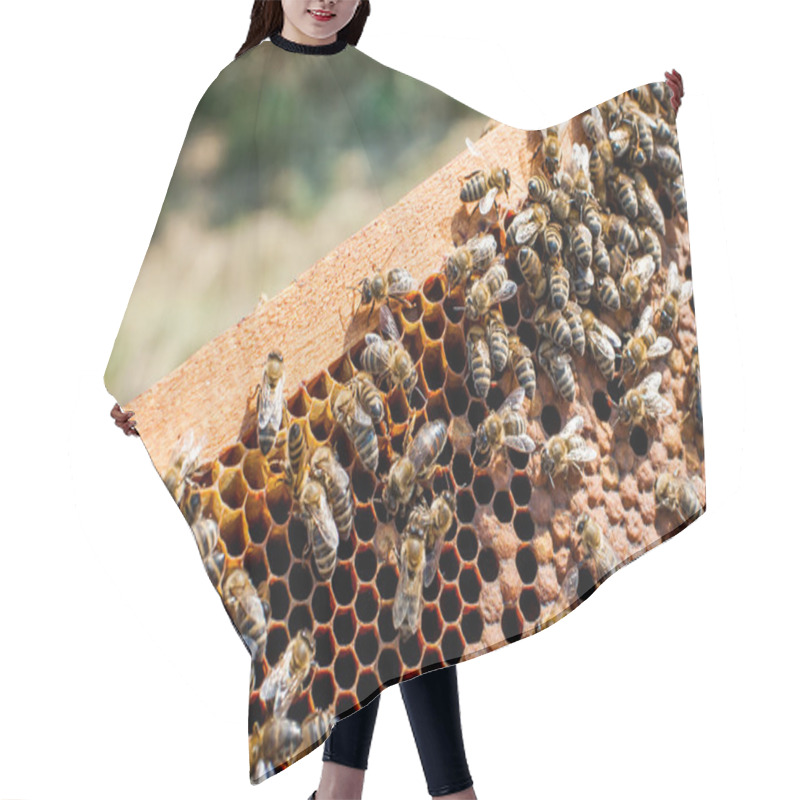 Personality  Honey Bees Working Hair Cutting Cape