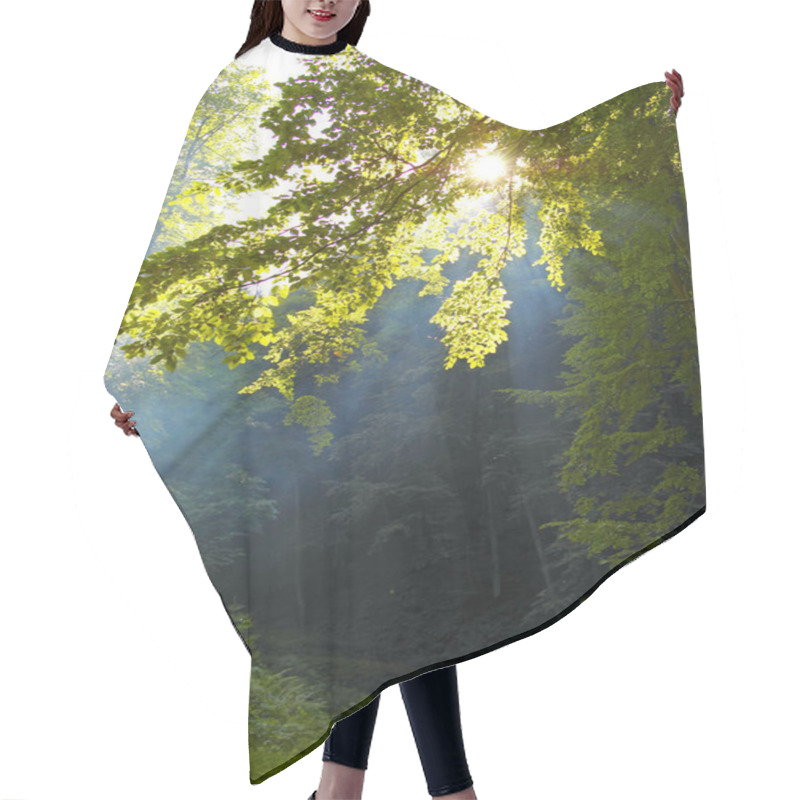 Personality  Morning Sunshine In A Forest Hair Cutting Cape