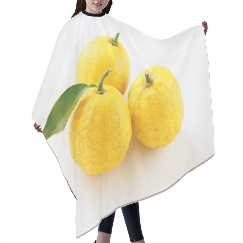 Personality  Ripe Japanese  Yuzu Fruits On White Background  Hair Cutting Cape