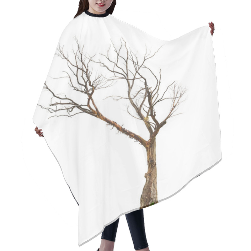 Personality  Tree On White Background Hair Cutting Cape