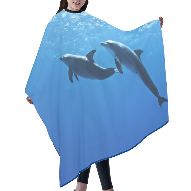 Personality  Dolphins Underwater Hair Cutting Cape