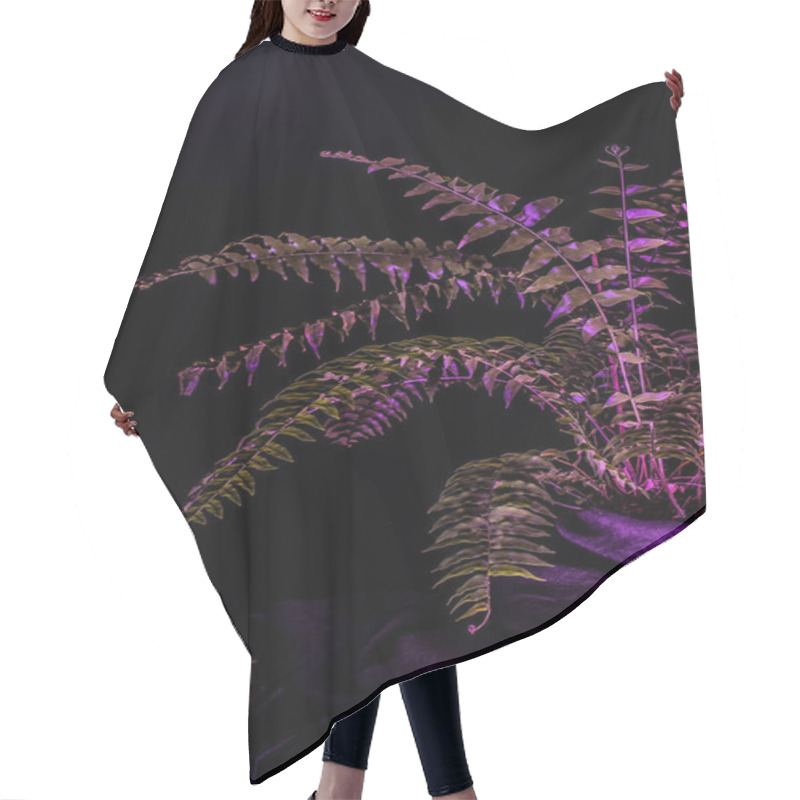 Personality  Toned Image Of Fern Plant, On Black Background Hair Cutting Cape