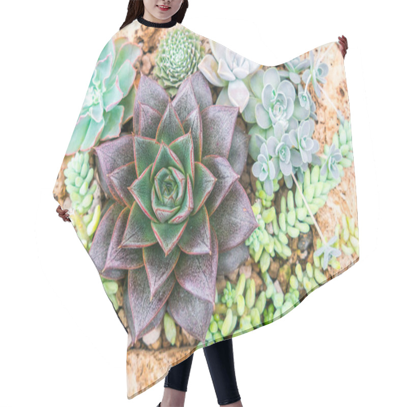 Personality  Beautiful Small Cactus Field . Hair Cutting Cape