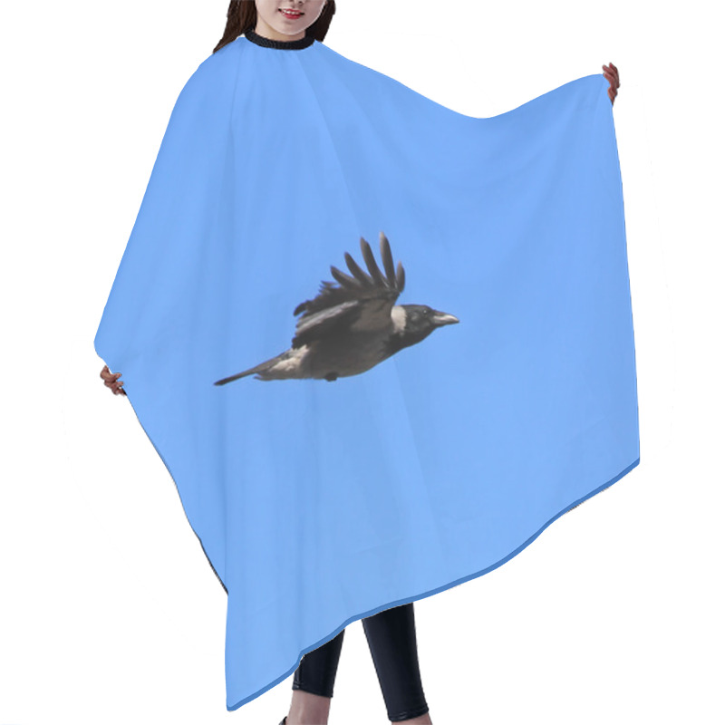 Personality  Raven Hair Cutting Cape