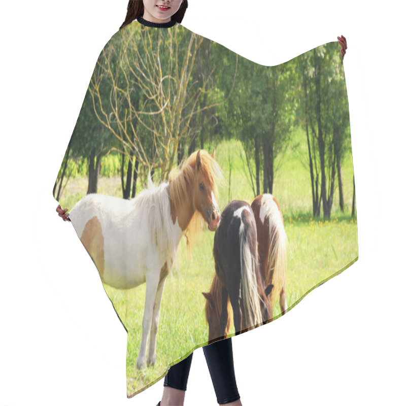 Personality  Pony Horse Hair Cutting Cape