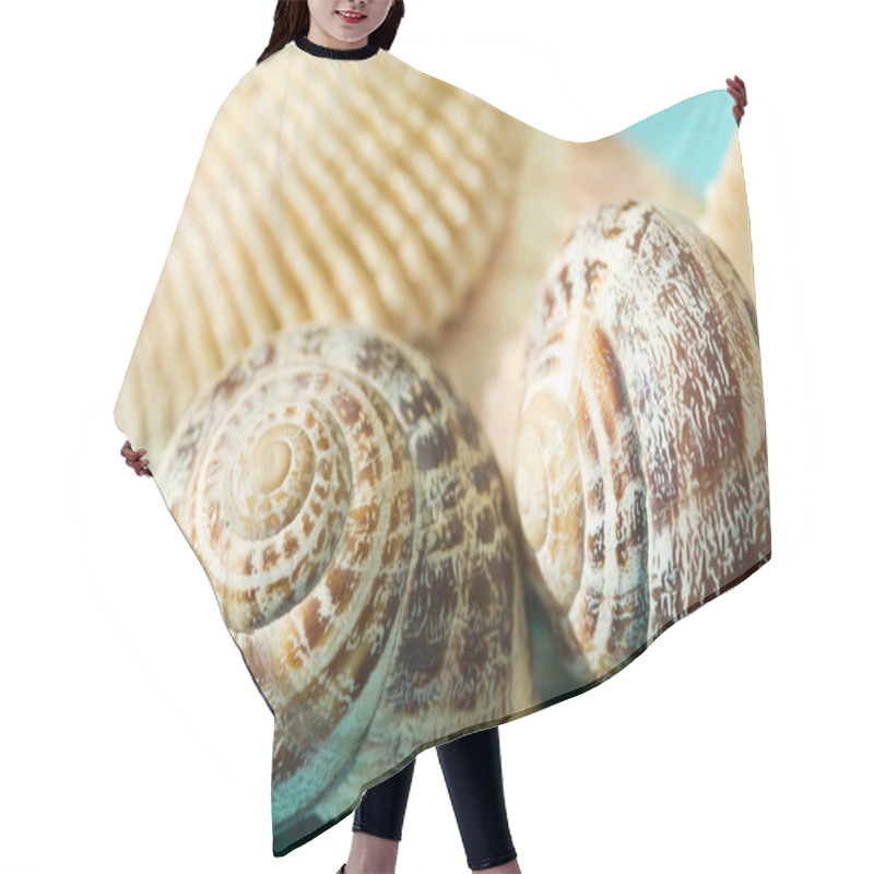 Personality  Seashells On A Blue Background Hair Cutting Cape