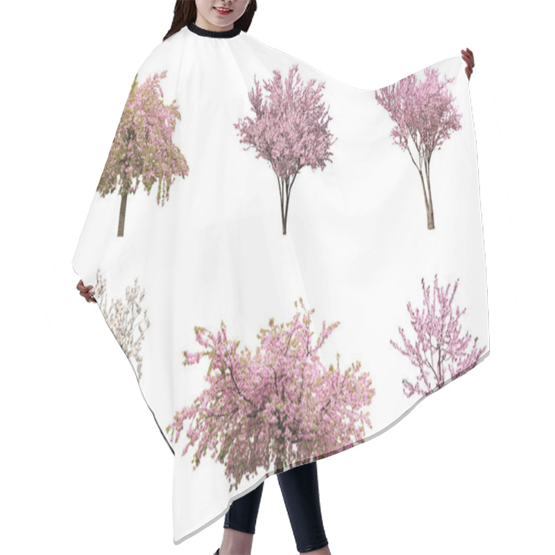 Personality  Beautiful Blossoming Sakura Trees On White Background, Collage  Hair Cutting Cape