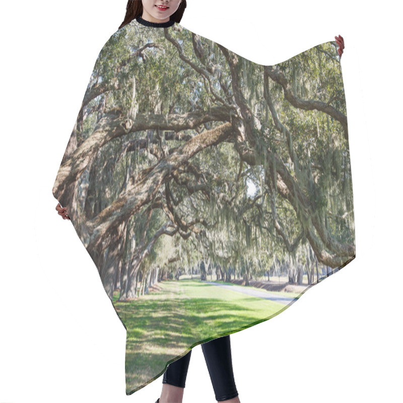 Personality  Oak Limbs Over Green Grassy Lane Hair Cutting Cape