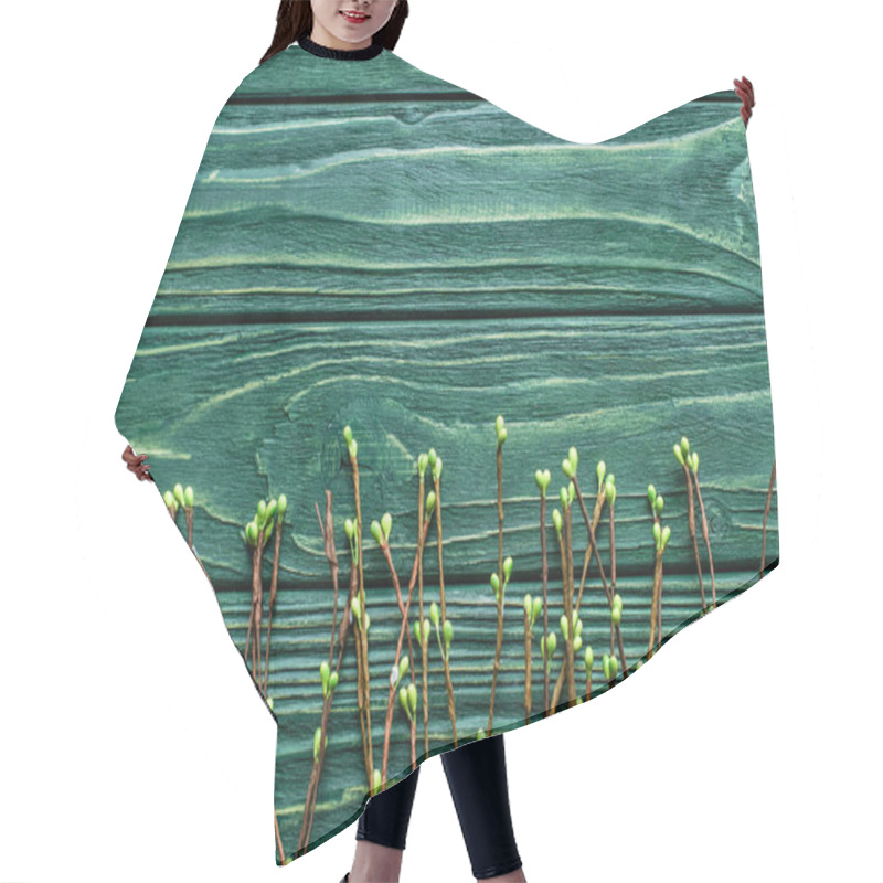 Personality  Top View Of Wooden Green Background With Blossoming Branches  Hair Cutting Cape