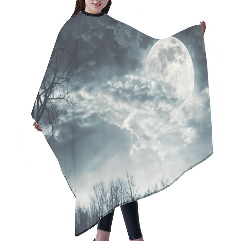 Personality  Dry Trees In The Misty Forest And Full Moon In The Sky, Dark Night And Horror Background Hair Cutting Cape