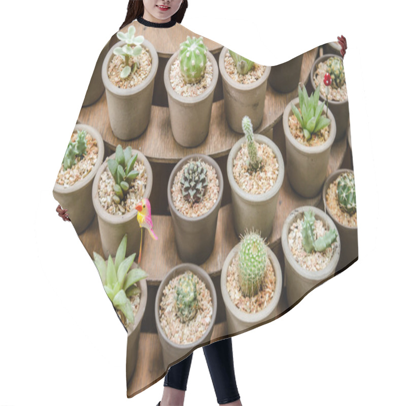 Personality  Group Of Cactus In Pot Hair Cutting Cape