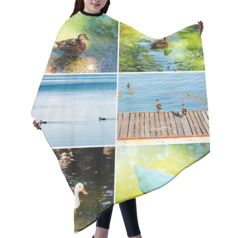 Personality  Domestic Ducks Hair Cutting Cape