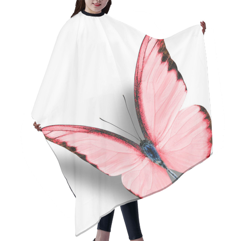 Personality  The Beautiful Flying Red Butterfly On White Background With Soft Shadow (Chocolate Albatross In Exotic Fancy Color Profile) Hair Cutting Cape