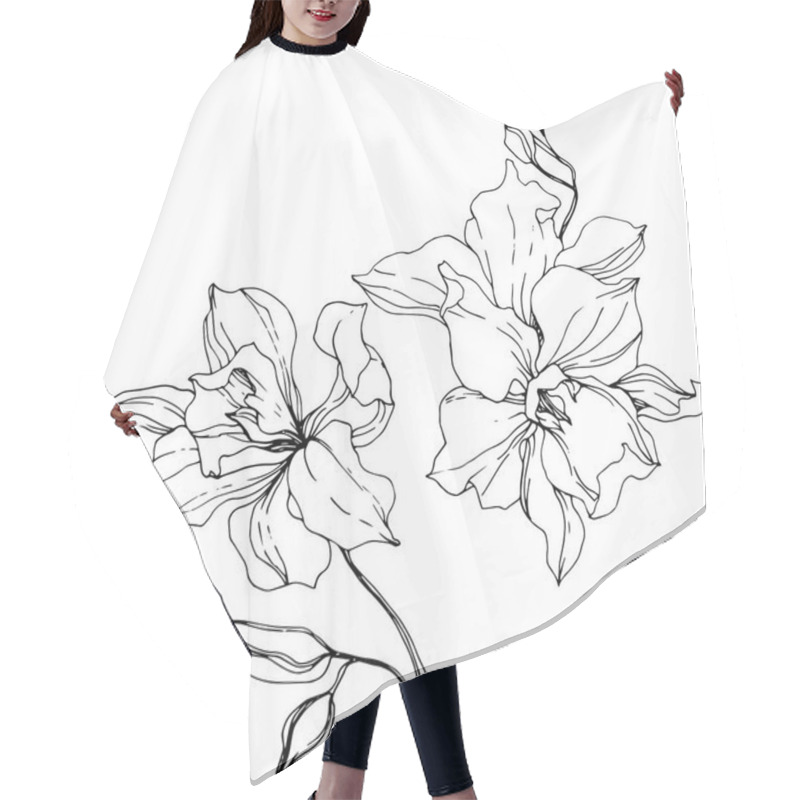 Personality  Beautiful Orchid Flowers. Black And White Engraved Ink Art. Isolated Orchids Illustration Element On White Background. Hair Cutting Cape