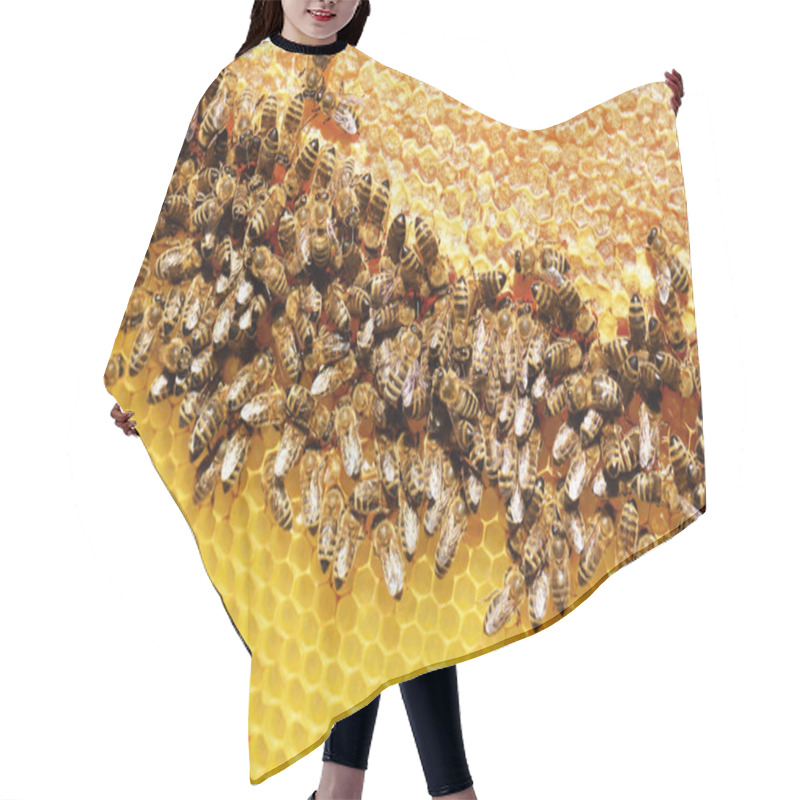 Personality  Hardworking Bees On Honeycomb Hair Cutting Cape