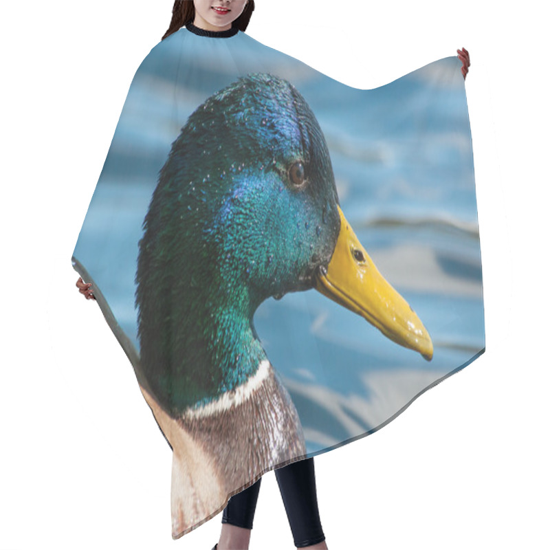 Personality  Female Mallard Duck Standing On Grass By The Water's Edge Hair Cutting Cape