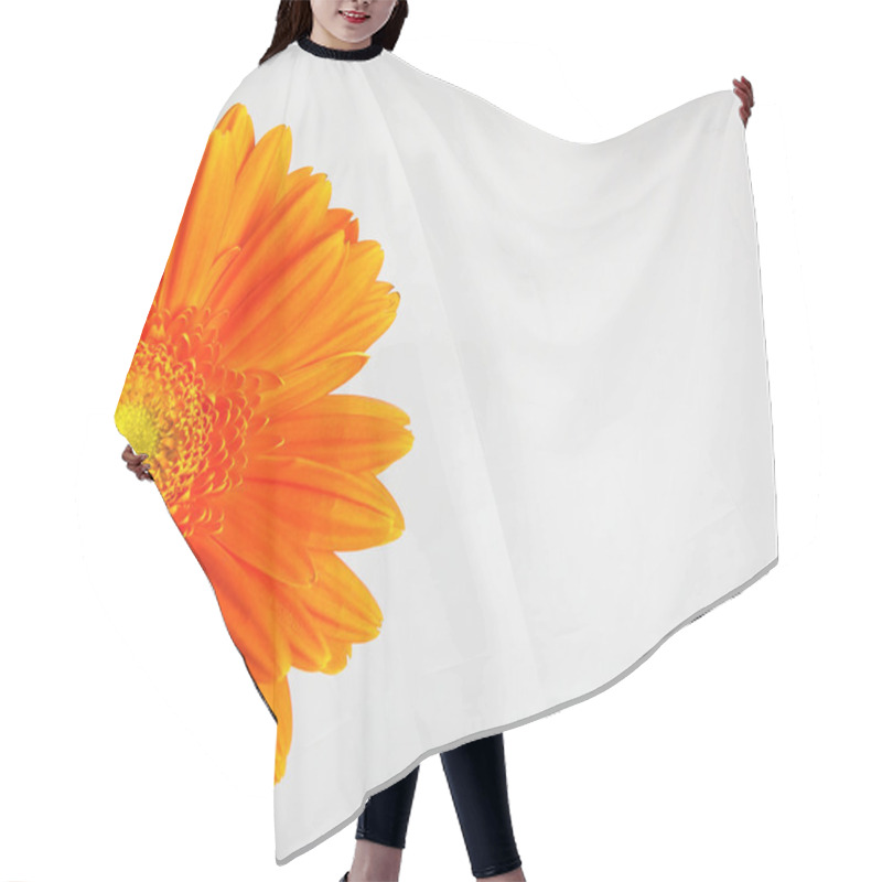 Personality  Gerber Flower Hair Cutting Cape