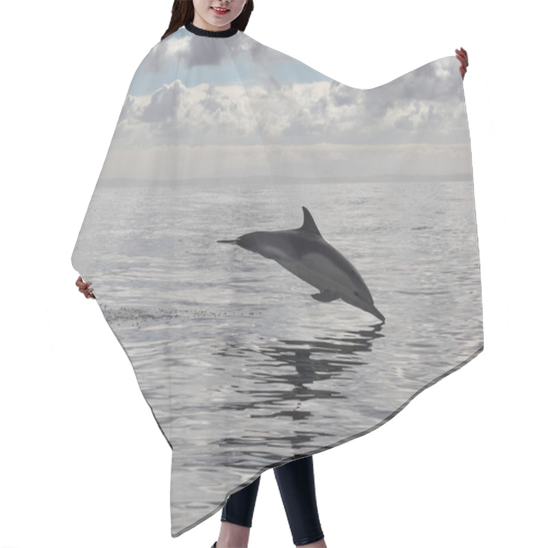 Personality   Dolphin Jumping Out Of Water. Nature Hair Cutting Cape