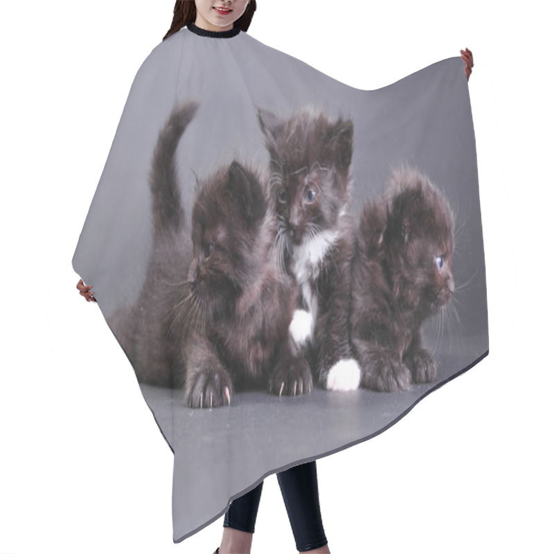 Personality  Group Of Black Kittens On Dark Backround Hair Cutting Cape