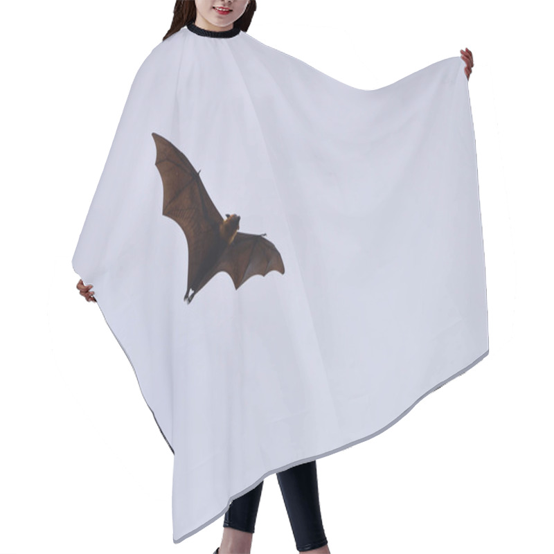 Personality  Bats Flying In Sky Background Hair Cutting Cape