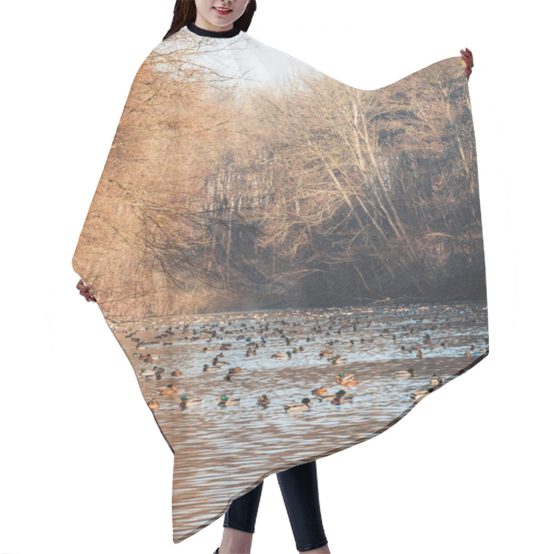 Personality  Duck Lake Hair Cutting Cape