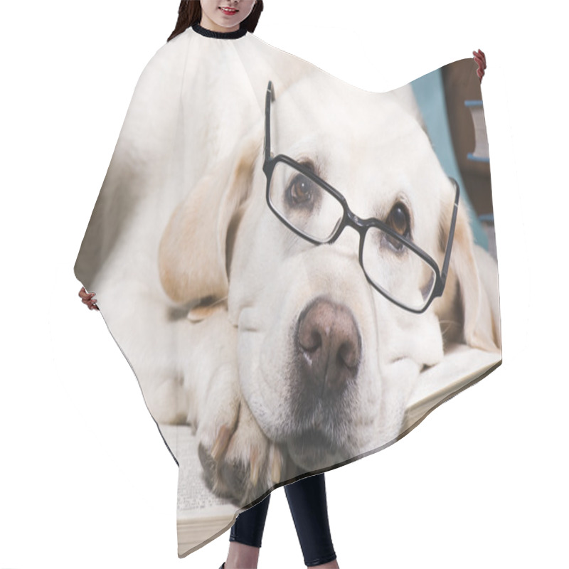 Personality  Intelligent Dog Hair Cutting Cape