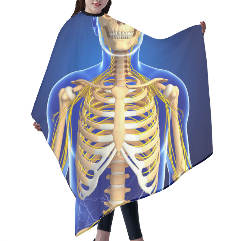 Personality  Male Ribcage And Nervous System Artwork Hair Cutting Cape