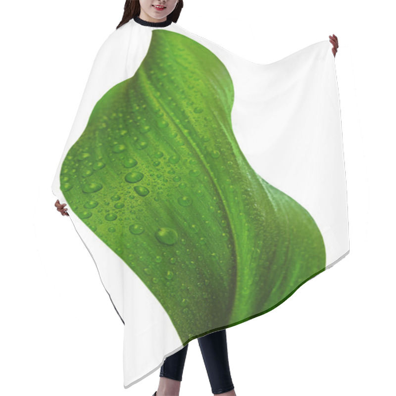 Personality  Leaf With Drops Of Water Hair Cutting Cape