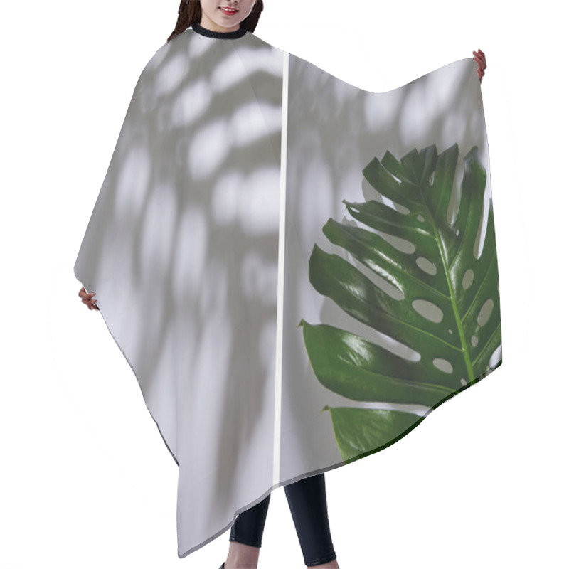 Personality  Collage Of Fresh Tropical Green Leaf On White Background With Shadow Hair Cutting Cape