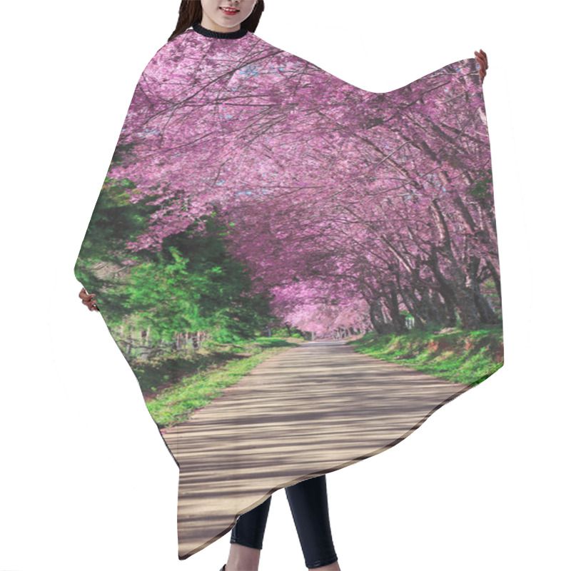 Personality  Cherry Blossom Pathway In ChiangMai, Thailand Hair Cutting Cape