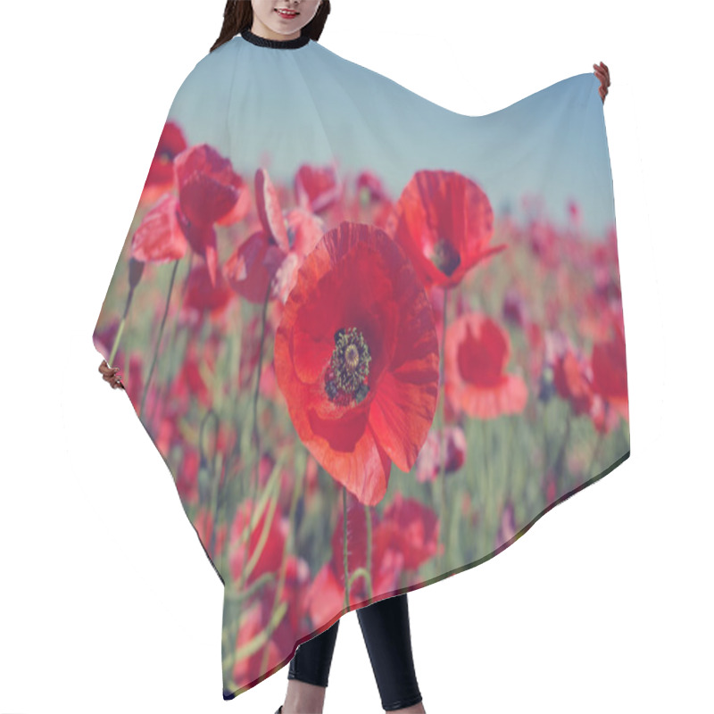 Personality  Red Poppy Flowers  Hair Cutting Cape