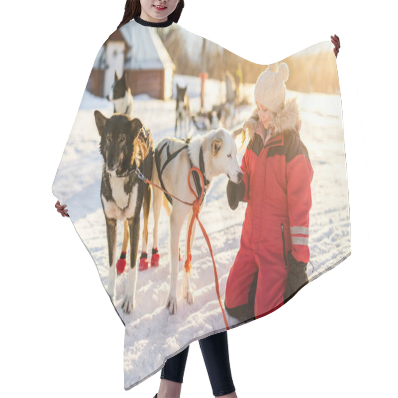 Personality  Adorable Girl Having A Cuddle With Husky Sled Dog In A Farm In Northern Norway Hair Cutting Cape