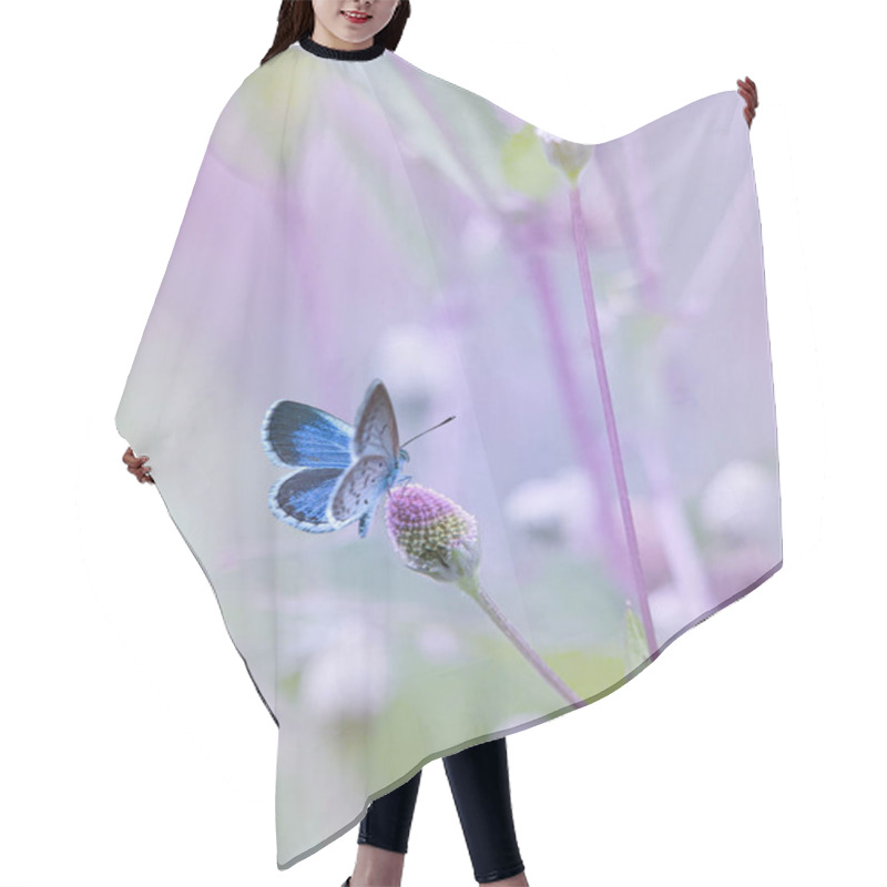 Personality  Blue Butterfly On The Flower With Soft Tones Hair Cutting Cape