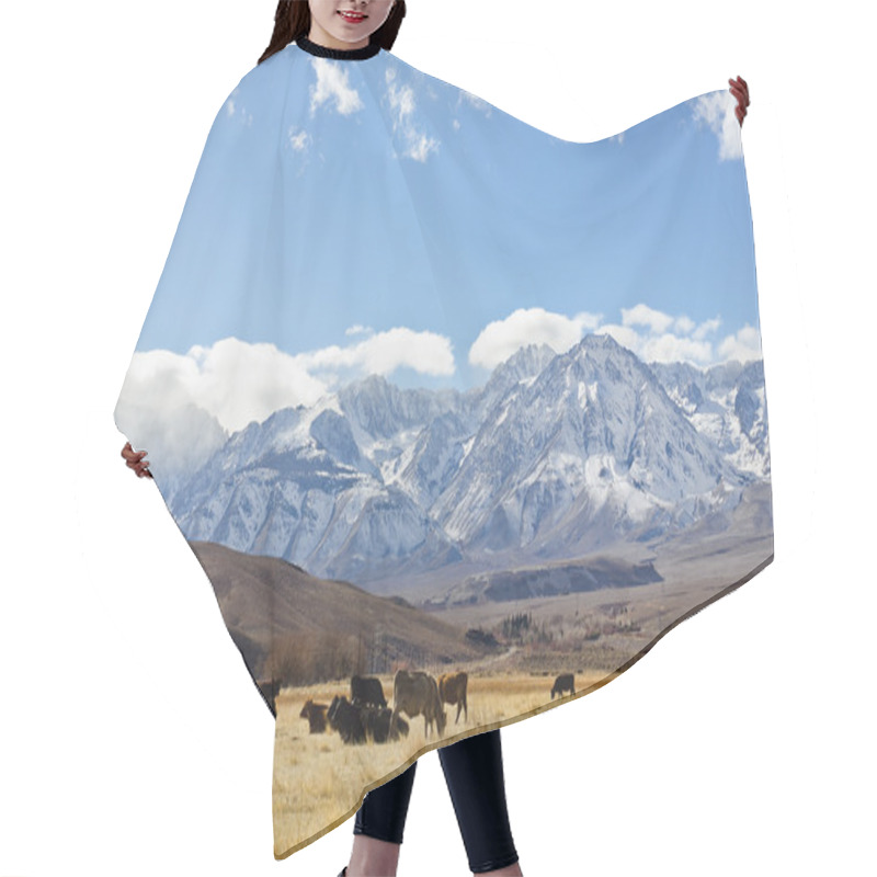 Personality  Sierra Nevada Mountains Hair Cutting Cape