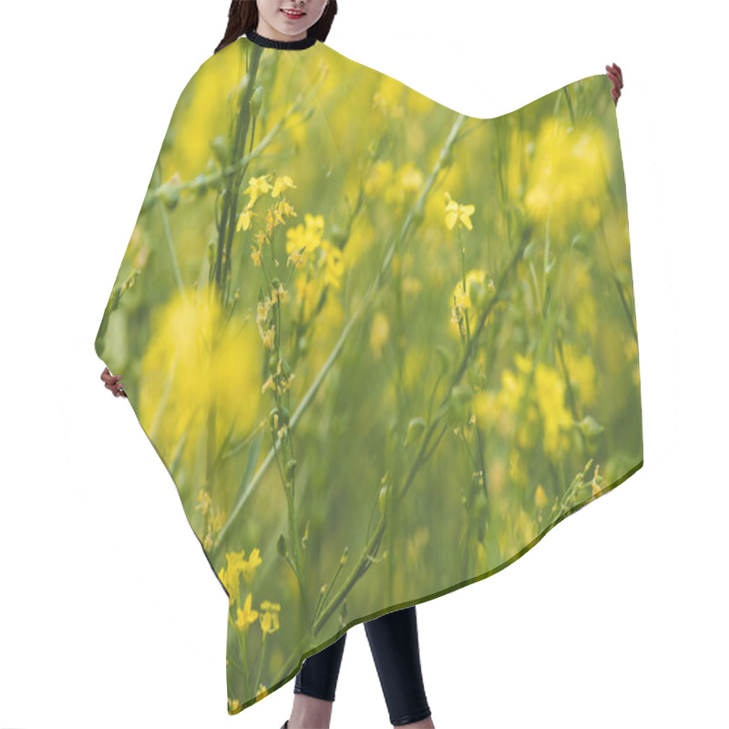 Personality  Beautiful Meadow With Blooming Yellow Flowers Hair Cutting Cape