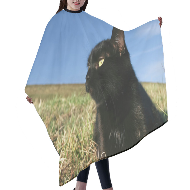 Personality  Black Cat At Sunset In The Grass Hair Cutting Cape