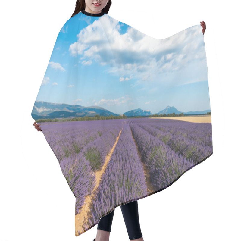 Personality  Beautiful Blooming Lavender Field And Distant Mountains In Provence, France  Hair Cutting Cape