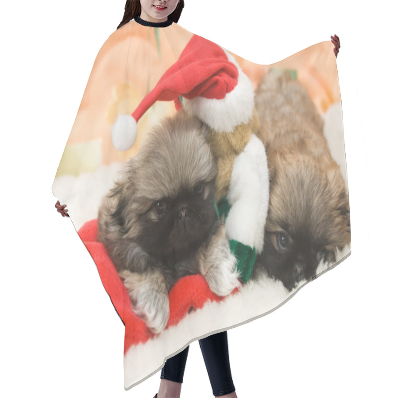 Personality  Puppy In A Santa Hat Hair Cutting Cape