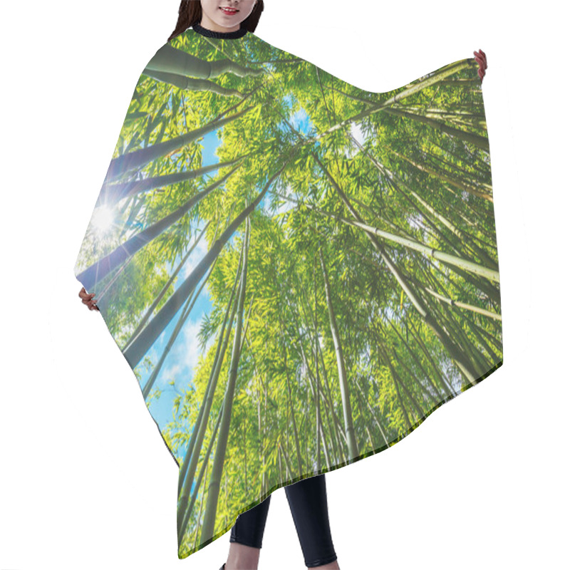 Personality  Bamboo Hair Cutting Cape