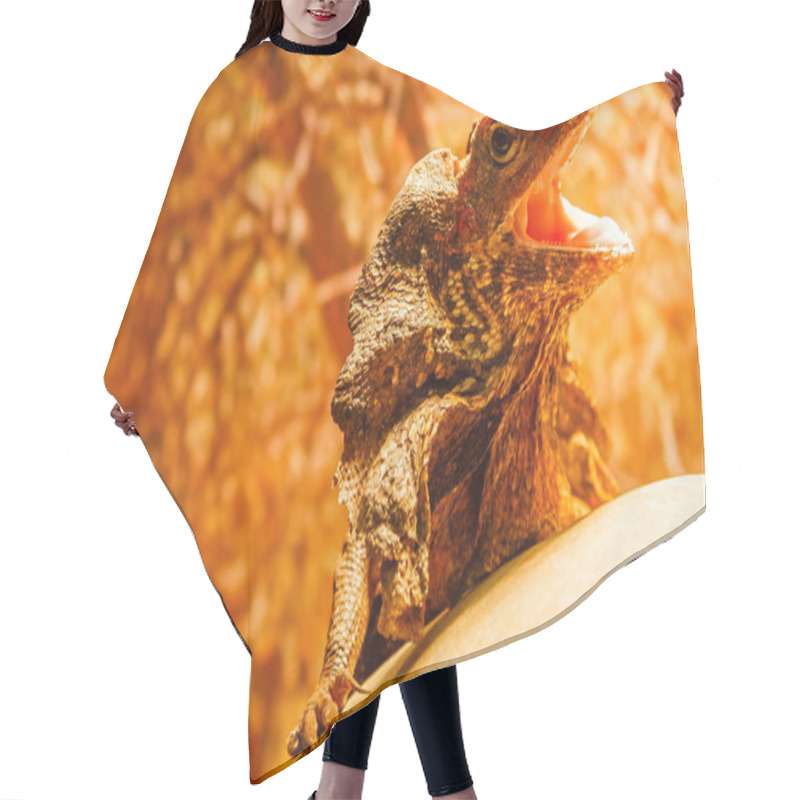 Personality  Lizard  Hair Cutting Cape