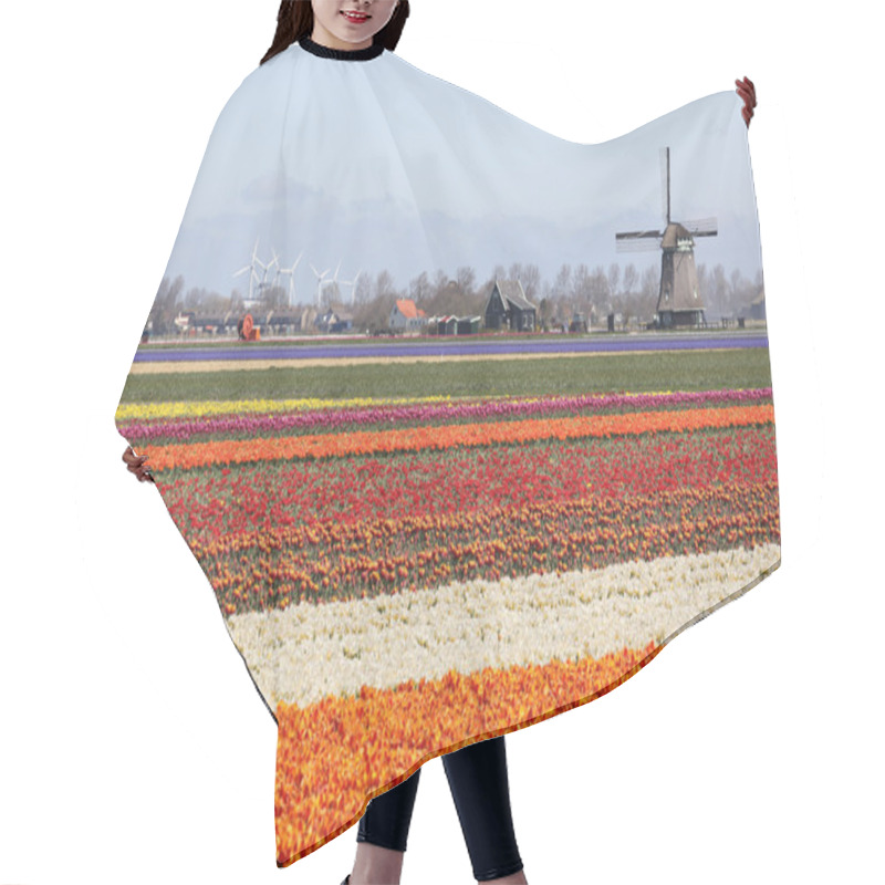 Personality  Spring In Netherlands Tulip Flower Field Red Tulips Flowers Wind Hair Cutting Cape