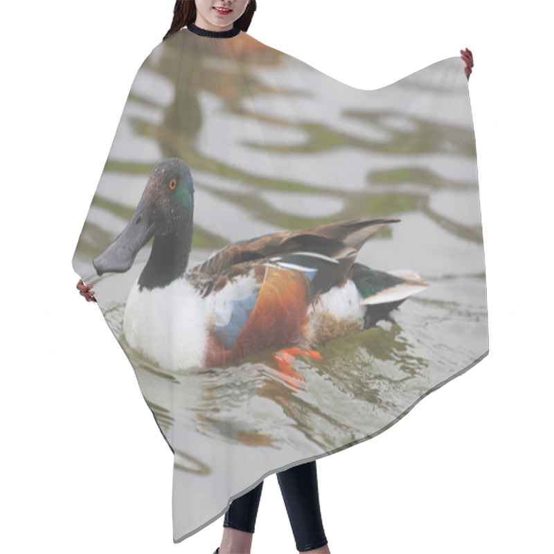 Personality  Northern Shoveler Hair Cutting Cape