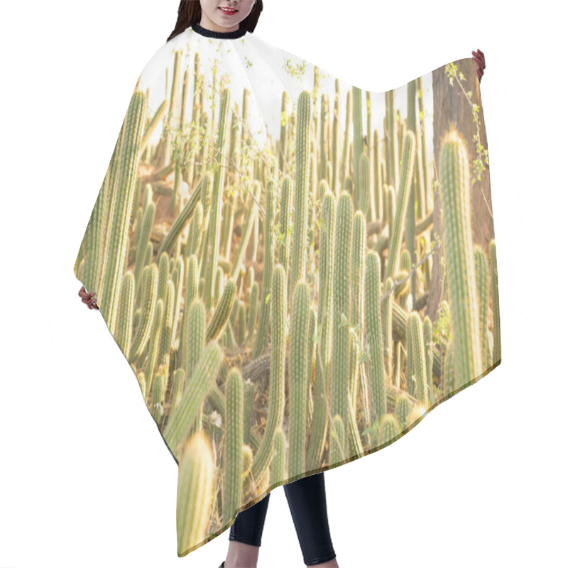 Personality  Cactus Plant Field Hair Cutting Cape