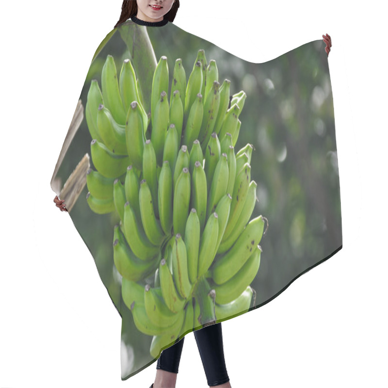 Personality  Banana Hair Cutting Cape