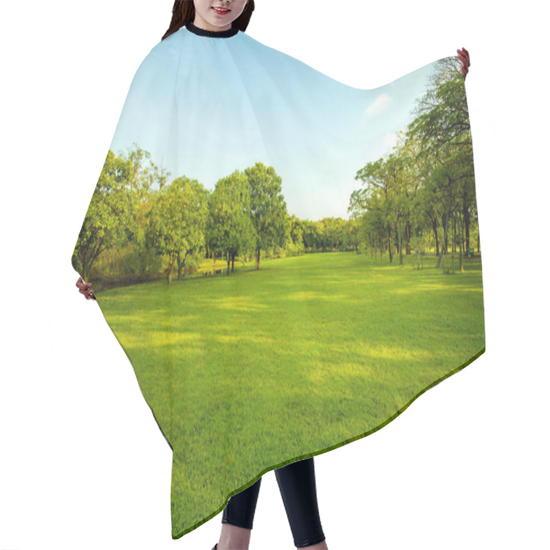 Personality  Green Grass Field  In Urban Public Park  Hair Cutting Cape