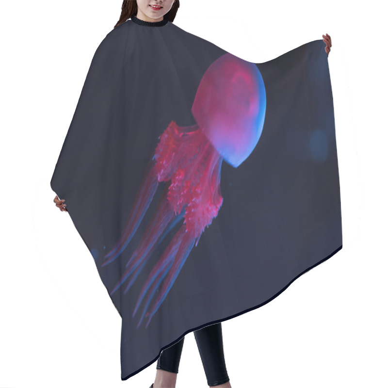 Personality  Jellyfish In Pink And Blue Neon Lights On Dark Background Hair Cutting Cape