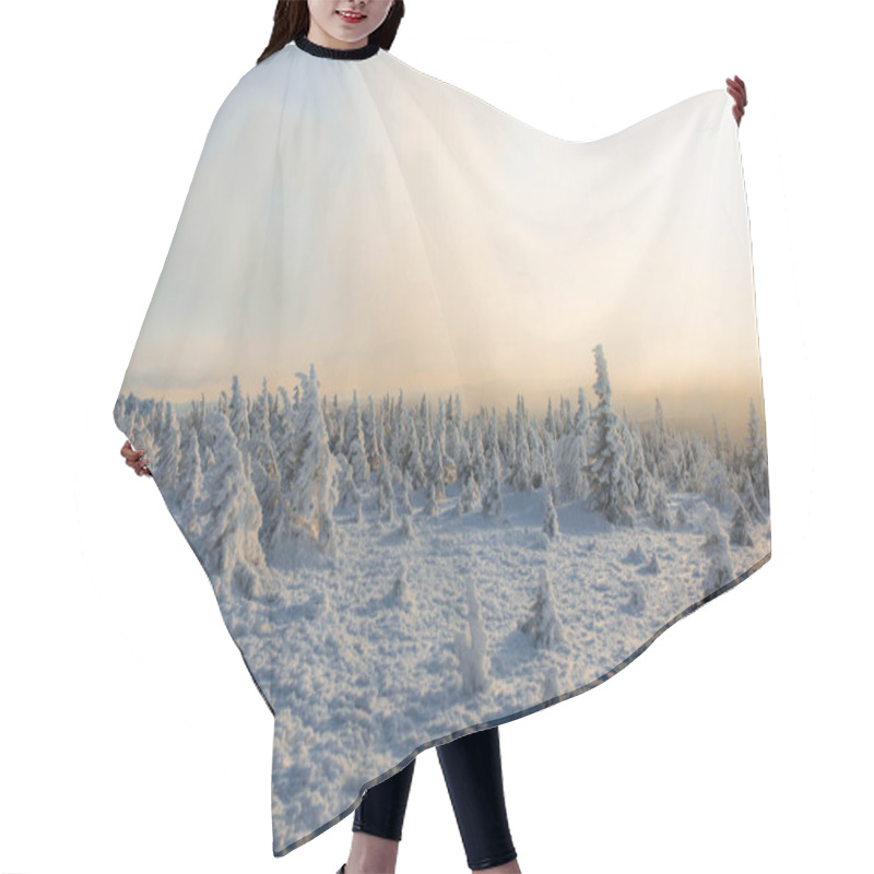 Personality  Evening In Winter Cold Forest Hair Cutting Cape