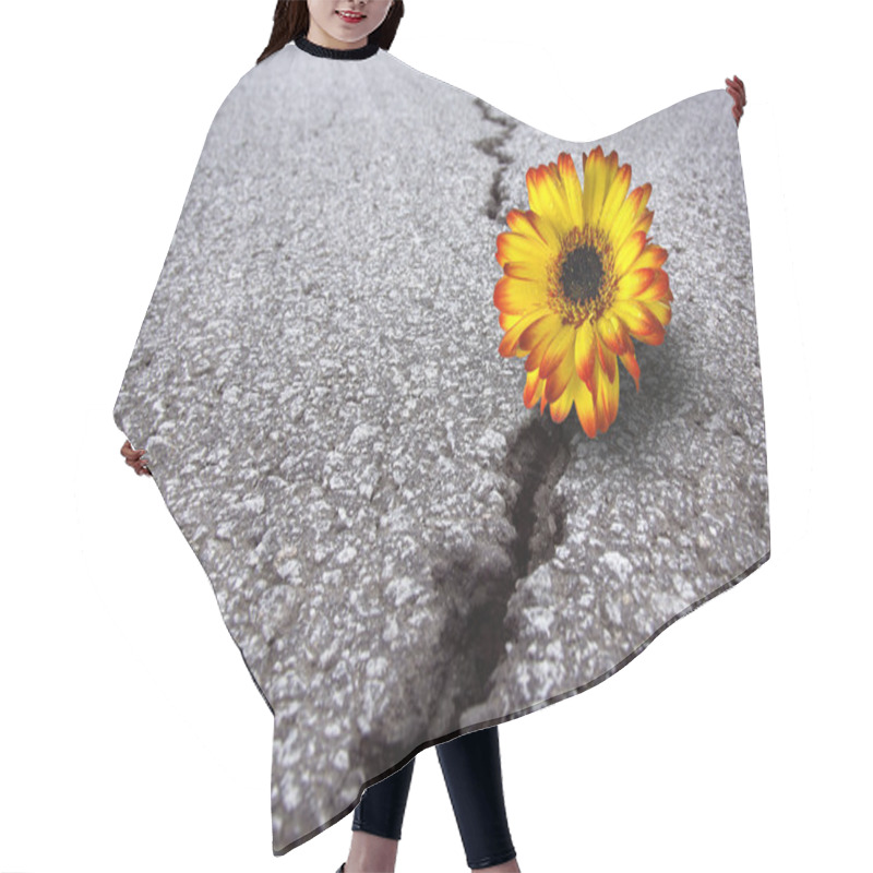 Personality  Flower In Asphalt Hair Cutting Cape